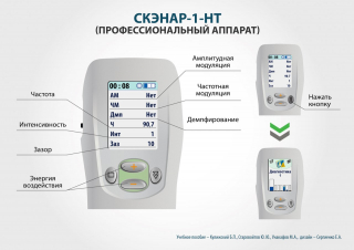 СКЭНАР-1-НТ (исполнение 02.2) Скэнар Оптима в Реутове купить Медицинский интернет магазин - denaskardio.ru 