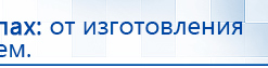 Электроды Скэнар -  двойной овал 55х90 мм купить в Реутове, Электроды Скэнар купить в Реутове, Медицинский интернет магазин - denaskardio.ru