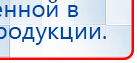 СКЭНАР-1-НТ (исполнение 01 VO) Скэнар Мастер купить в Реутове, Аппараты Скэнар купить в Реутове, Медицинский интернет магазин - denaskardio.ru